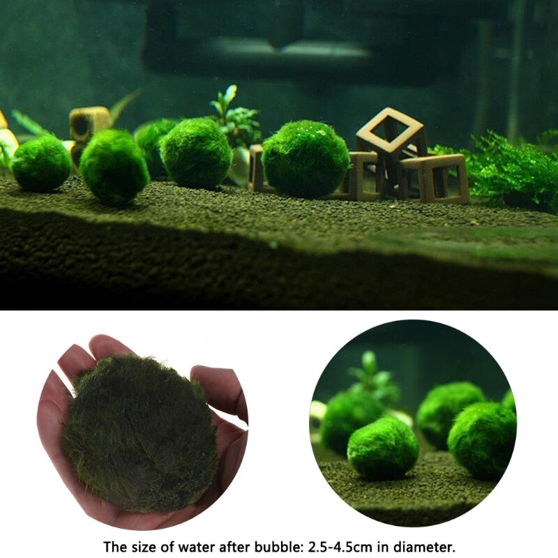 Artificial Moss Ball Fish Tank Aquarium Decor Ornament 2.5-4.5cm Natural Plants