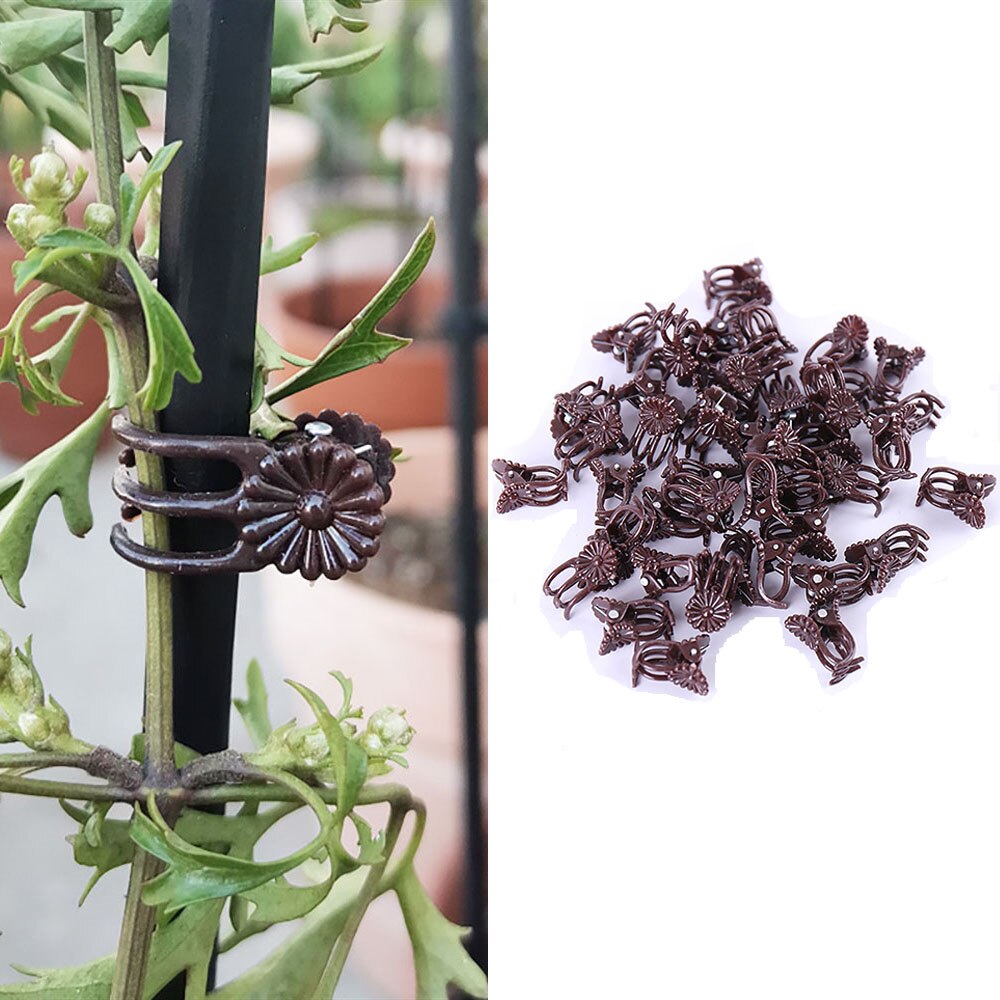 100 stykker plast orkidé klip planter støtte klip have tomat trellis klip phalaenopsis klip blomst veggie vin/stængel klips