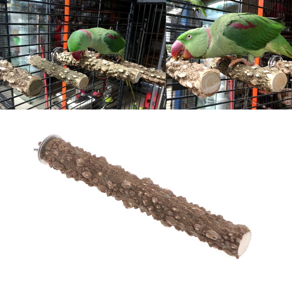 Lintu luonnonpuu ahven teline papukaija tassu hiomapuikko papukaija cockatiel conure rakaslintu ara kakadu häkki alusta
