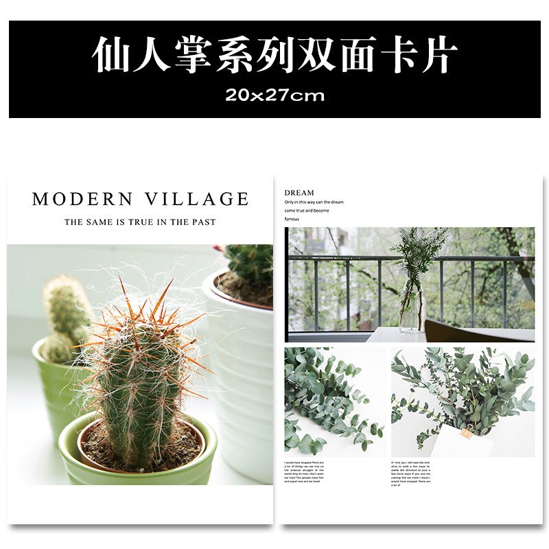Magazine Cover Dubbelzijdig Card 20*27Cm Winkel Fotografische Prop Ins Kaart Kaart Papier Filmen Achtergrond Papier: Double Sided Plant Card