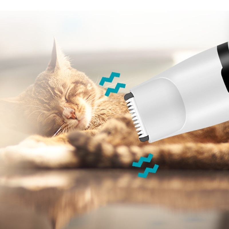 A Complete Guide to Grooming Your Boxer Dog - Home Dog Grooming With Clippers For Boxers