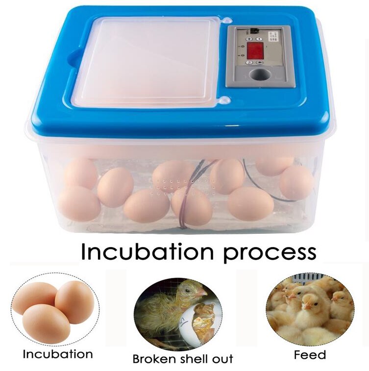 Mini 32 Egg Incubator Poultry Incubator Brooder Digital Temperature Hatchery Egg Incubator Hatcher Chicken Duck Bird Pigeon