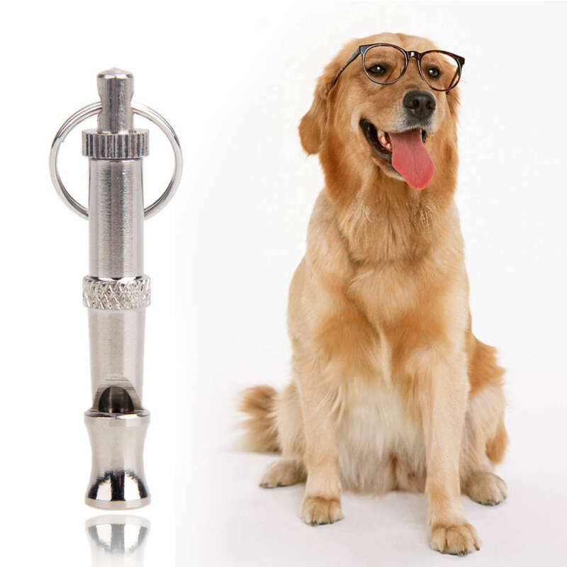Silbato de entrenamiento ultrasónico para perros y mascotas, sonido supersónico, silencioso, 1 unidad