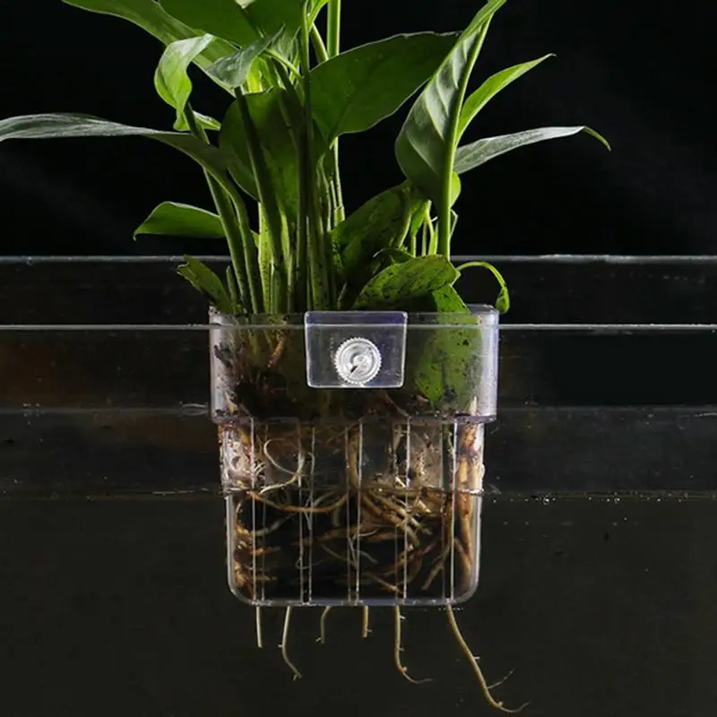 Aquarium Plantenhouder Aquarium Planten Mand met Haak Aquarium Plant Cup Waterplanten Cup Aquarium Decoraties Pot