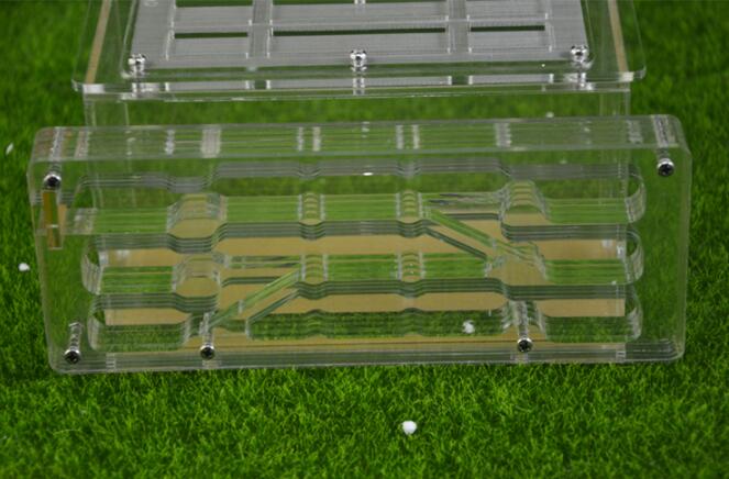 Ant Housing Nest Insect Cage Farms Feed Plastic Acrylic Display Trapezoid Box Ant Villa Nest Building Pet Ant Home Cages