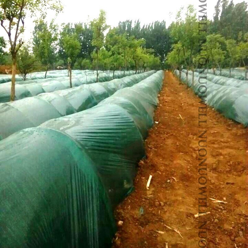 Hi 520m²/Roll 0.02mm Green Plastic Film Agriculture Greenhouse Vegetable Ginger Planting Mulch Film Width 1~2m