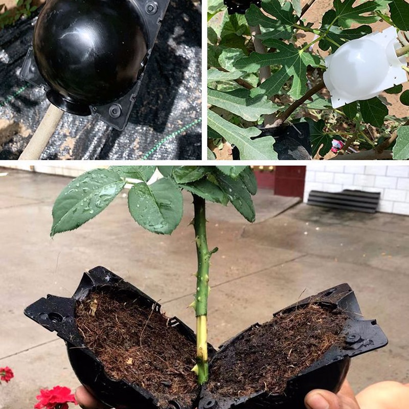 2 stk plante rodfrugt kugotransplantation rodning voksende kasse avlskasse plante roddyrkningskasse til have 5/8/12cm i diameter