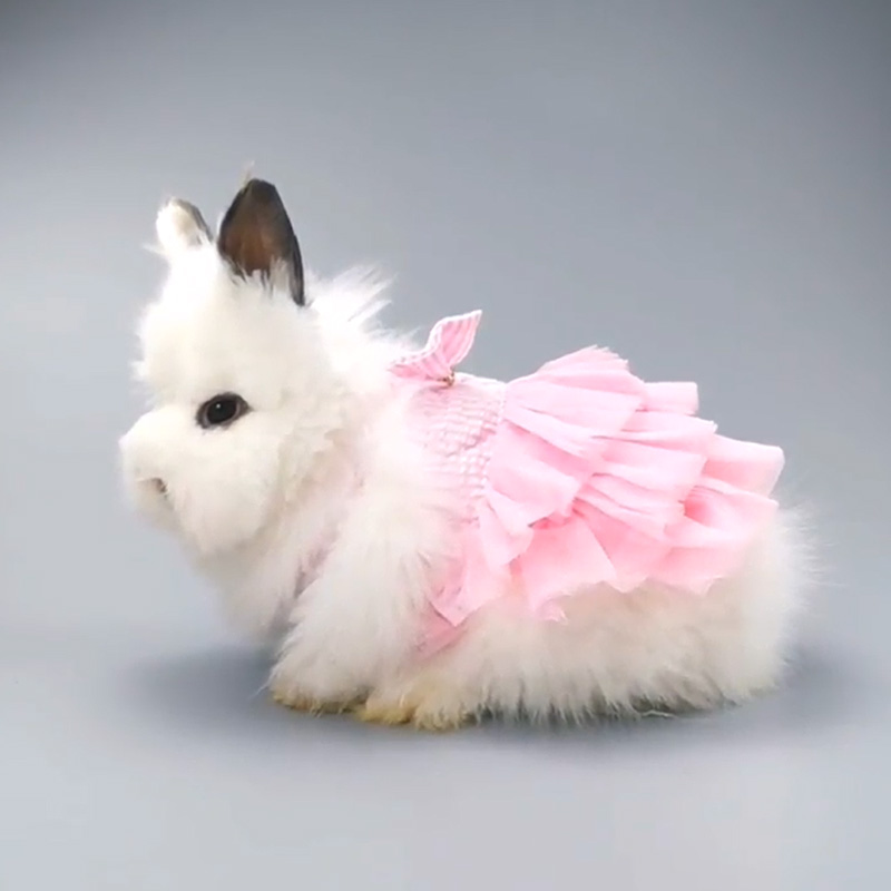 Bunny Out Clothes Lop-eared Dwarf Rabbit Pleated Skirt Rabbit Dress Up Accessories Small Dog Supplies Mesh Sling Dress For Pets