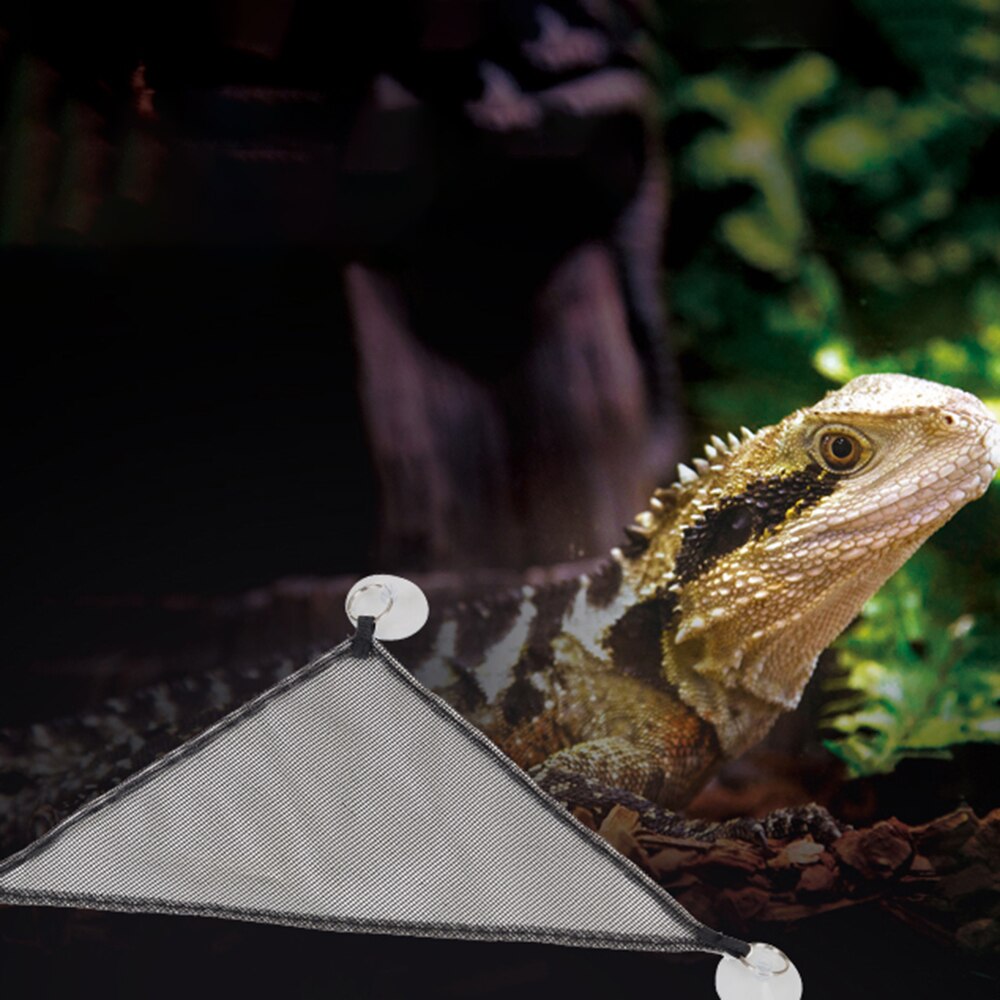 Hamaca de malla transpirable para Reptiles y mascotas, cama colgante de lagarto, camaleón barbudo, 2 uds.