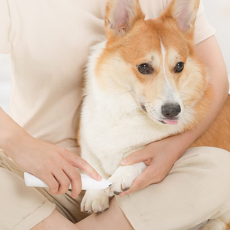 Xiaomi-Herramienta de aseo para mascotas Pawbby Original, cortadora eléctrica para perros, afeitadora Local, cortadora de pelo para gatos, afeitadora para patas