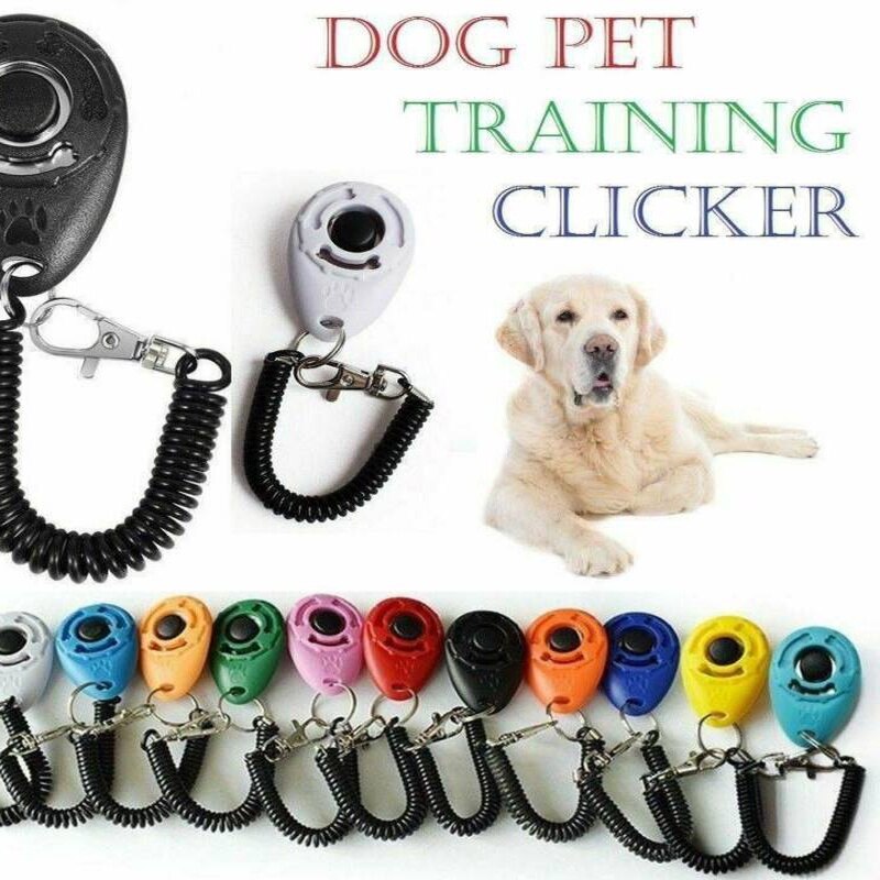 1Pc Pet Trainer Clicker Hond Training Tool Verstelbare Sound Knop Klik Trainer Gehoorzaamheid Aid Polsband Sleutel keten