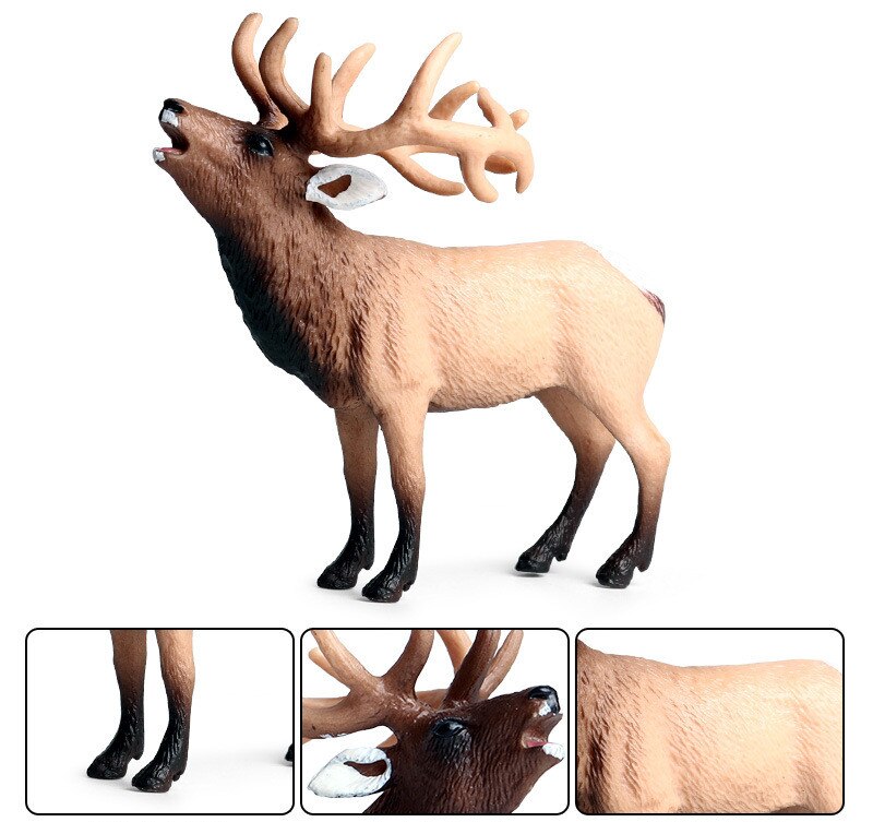 Rangifer Tarandus Terraenovae Reindeer Figure Cervidae Animal Deer Toy Collector Model Decor Figurines Educational Model