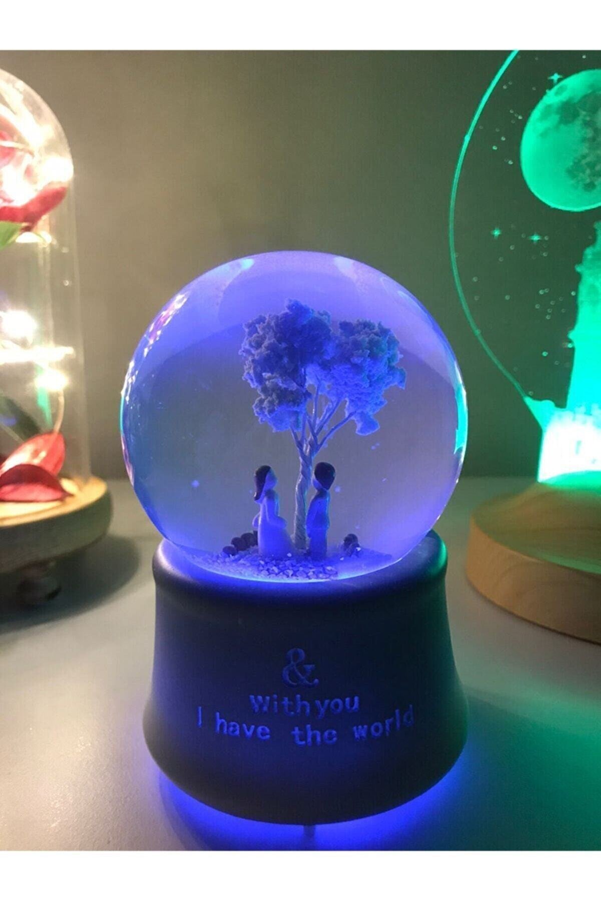Globe de neige chat mignon, boîte à musique, produits , boules de neige , décoration de maison, Globes éclairés décoratifs