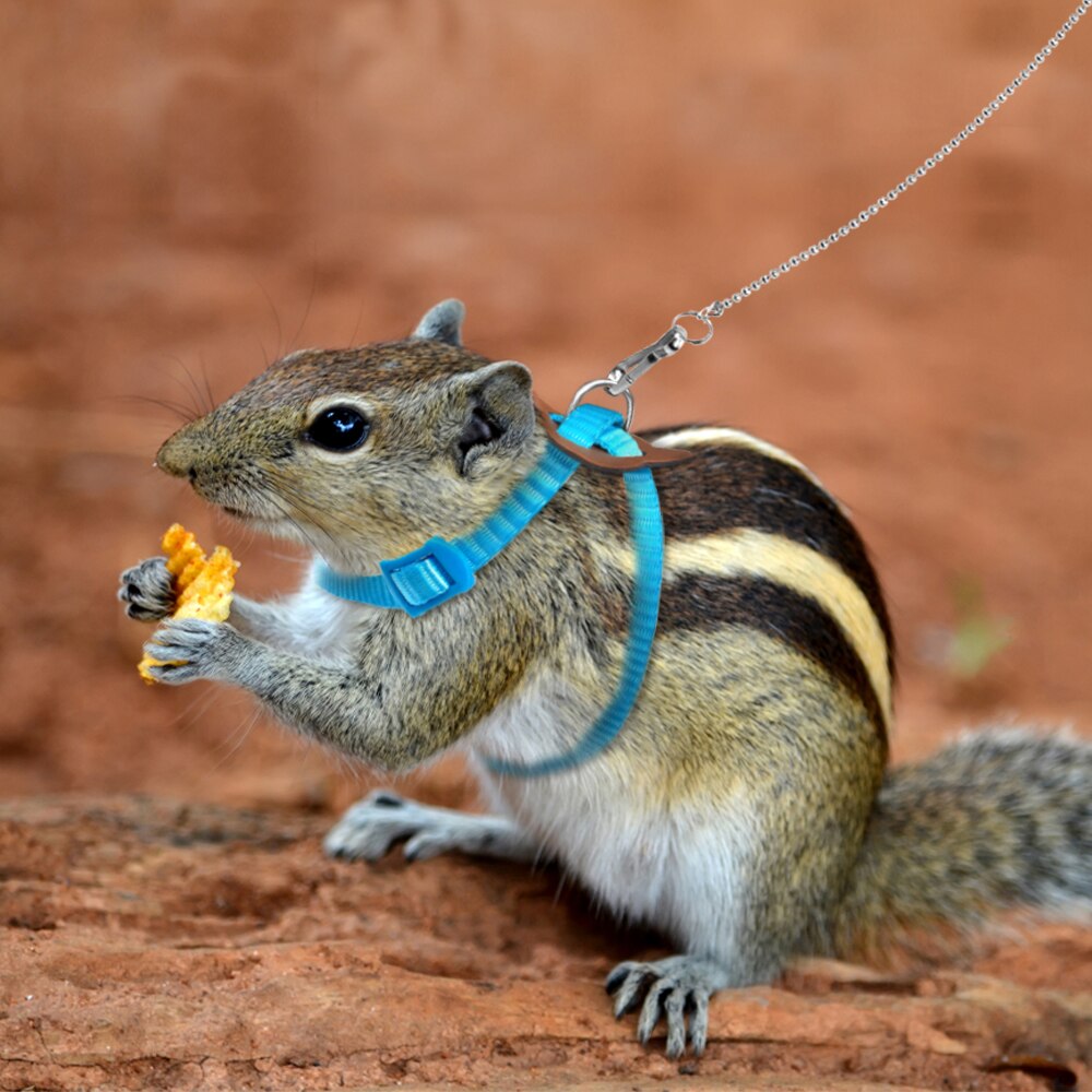 Einstellbare Haustier nutzbar machen und Leine Für Hamster Frettchen Ratte Maus Hase Nylon Geschirre Weste Blei Seil Leine Guinea Schwein Zubehör