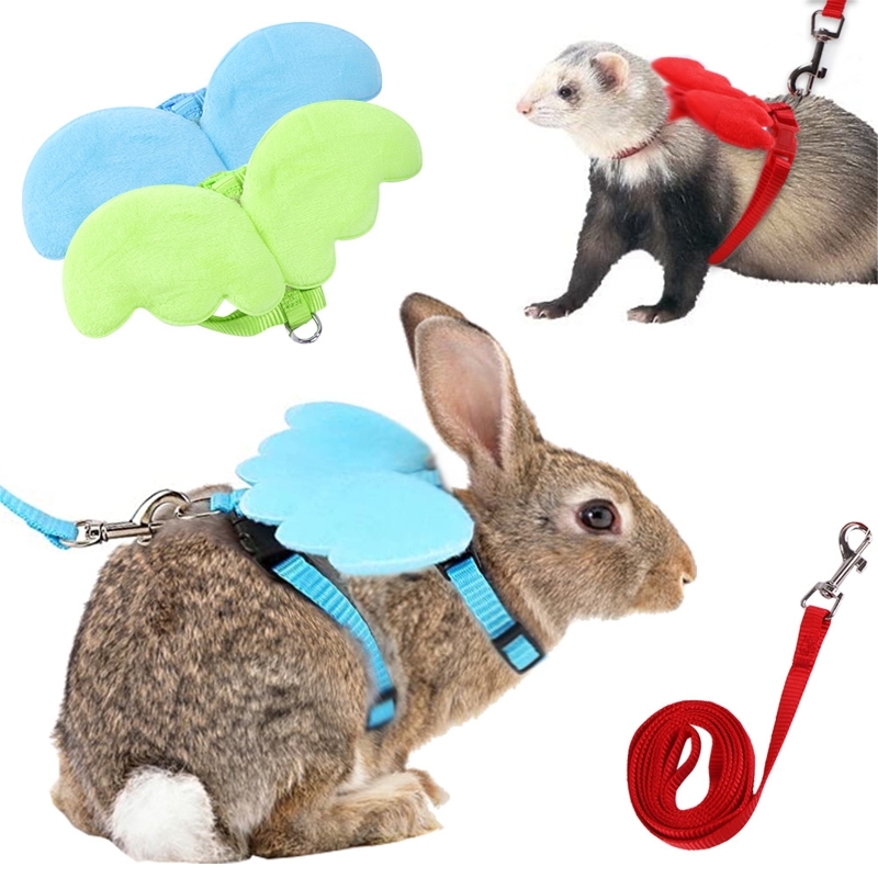 Pet Duck Outside Walking Harness Leash Hen Chickens Harness Adjustable Outdoor Training Traction Rope for Goose Hen