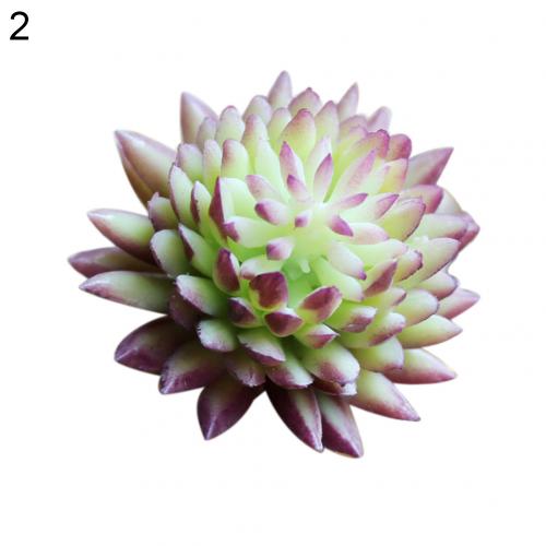 Mini bonsái Artificial de plástico para decoración de hogar y oficina, plantas suculentas de Echeveria, 1 unidad: 2