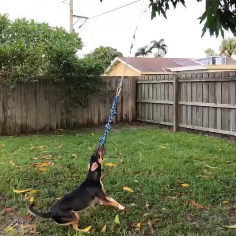 UEETEK Pet Durable Stainless Steel Spring Pole Dog Rope Toys Hanging Exercise Rope Pull With 5M Black Ropes Pet Toys