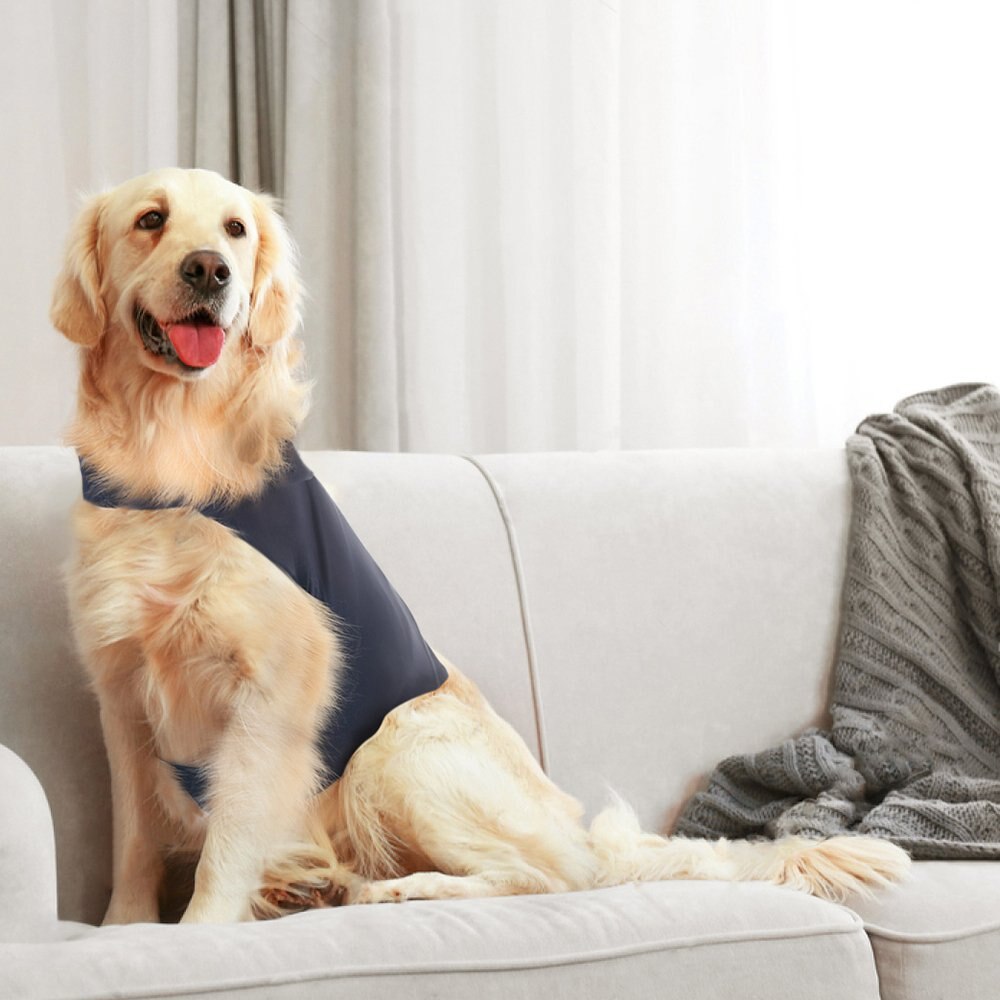 Harnais pour chien soutien émotionnel | Veste calme anxieuse, gilet de Protection contre le Stress, gilet pour chien, fournitures d'animaux, chemise pour grands chiens