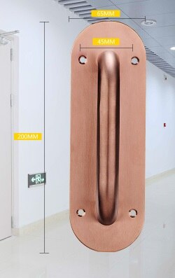 2Pcs/Lot Stainless Steel Face Mount Door Pull Push Plate Fire proof door Brush Gold Rose Gold: Rose Small Round