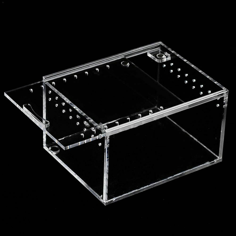 De plexiglás de acrílico terrario para reptiles Gecko serpiente, lagarto insecto araña vivero jaula TANQUE DE magnético tapa