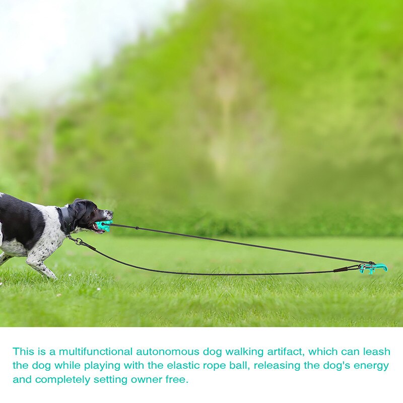Enjeux de formation Portable chien laisse Pile cravate bâton chien mâcher jouet élasticité chien chaîne pour Camping en plein air arrière-cour laisse pour animaux de compagnie