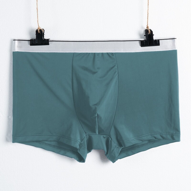 Boxer pour homme, sous-vêtement respirant, couleur unie, à la , argenté, confortable, sans couture, en soie glacée: green / Asia Size XXXL