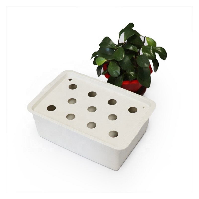 Indoor Home automated grow box hydroponics system 11 Pods for Planting Vegetable: Default Title