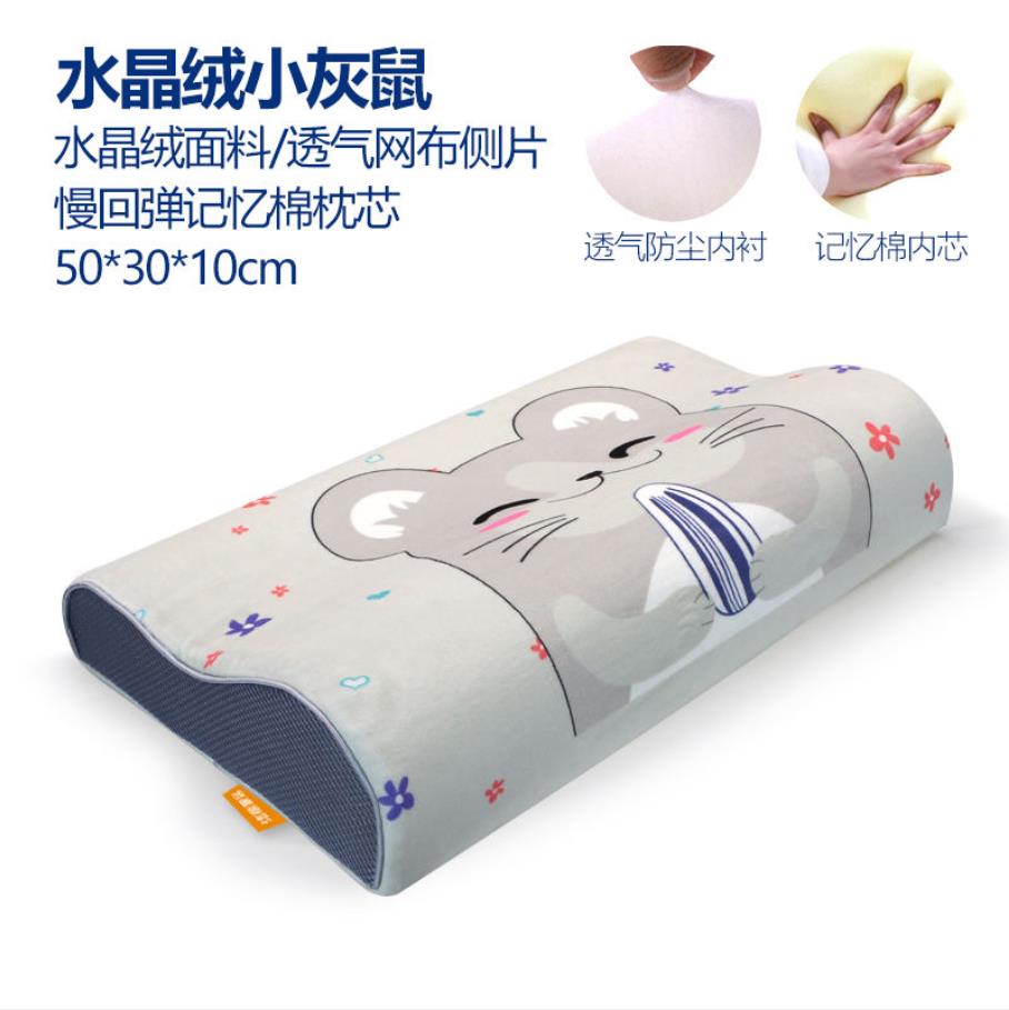 Memory Foam Bed Orthopedisch Kussen Voor Nekpijn Slapen Gezondheid Met Geborduurde Fijne Fluwelen Kussensloop Thuis 60*30Cm top F0436: 11