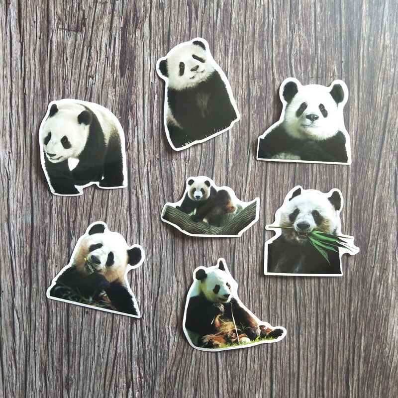  zw 50 stück niedliche panda-aufkleber für koffer, skateboard, laptop, gepäck, kühlschrank, handy, auto – diy-aufkleber