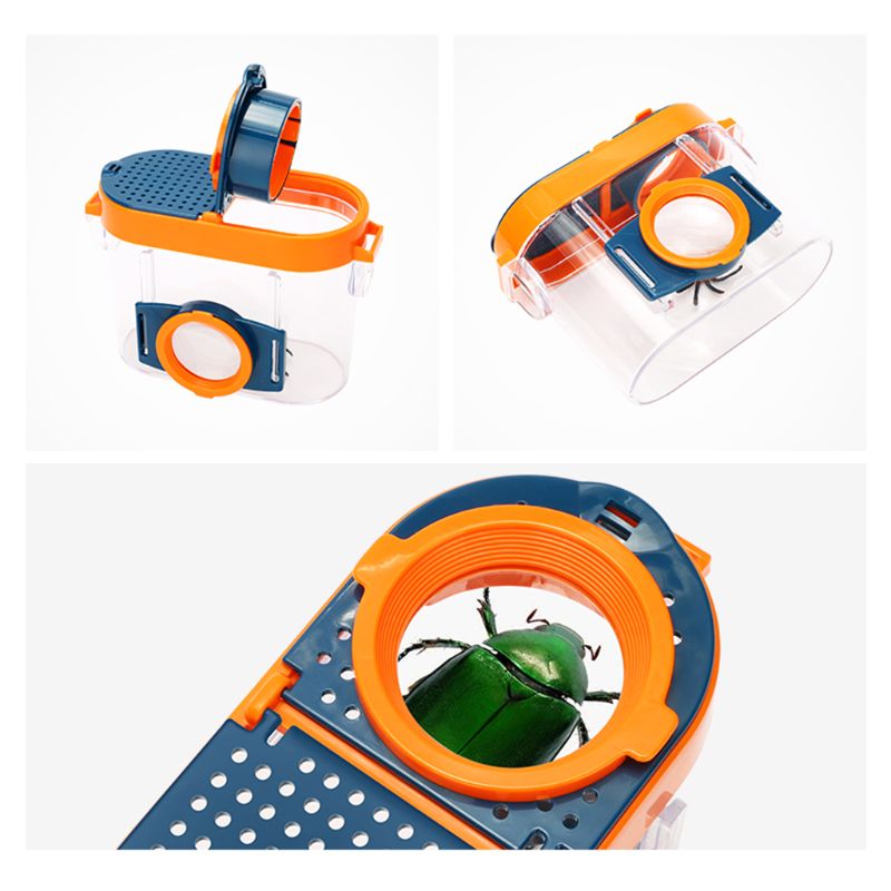 Vision d&#39;insecte avec Microscope grossissant, Observation de classe de Science pour enfants