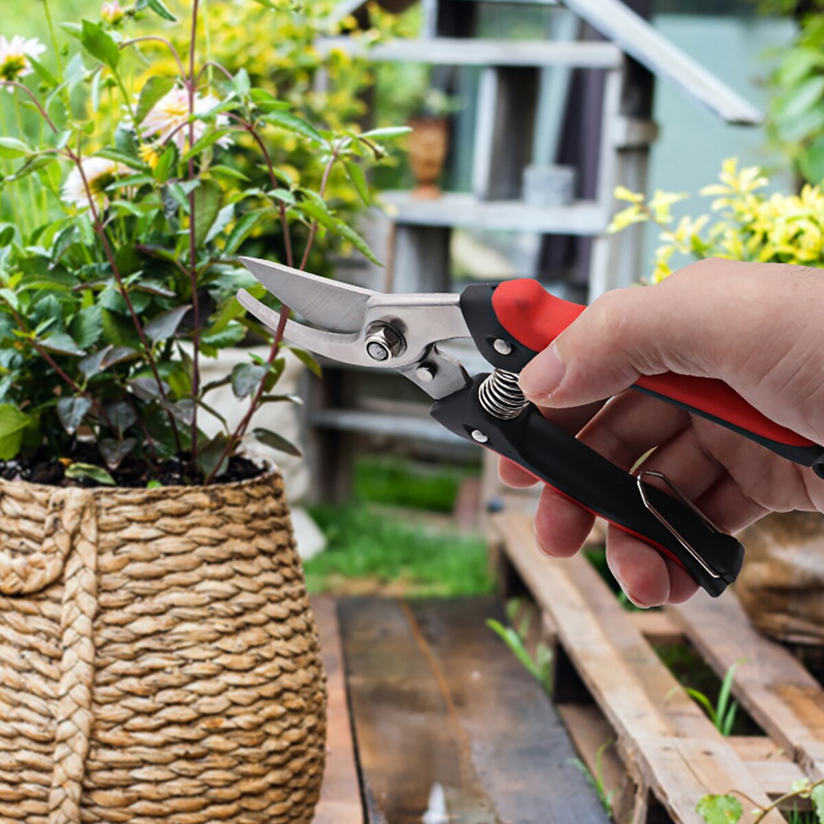 Bypass Pruner Stainless Steel Pruning Shears Garden Cutting Tool with Max. Cut Thickess of 1.96in for Rose Bushes Patio Lawn