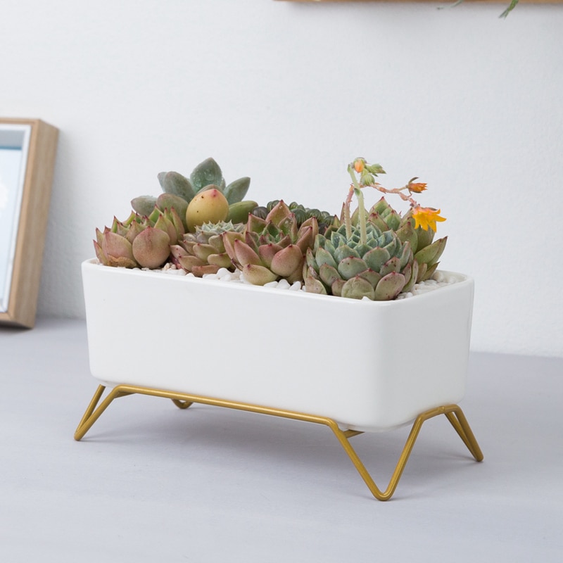 Witte Keramische Bloempot Met Gold Metal Stand Vetplant Pot Cactus Planter Met Afvoer Gat Ovale Rechthoek Bloempot
