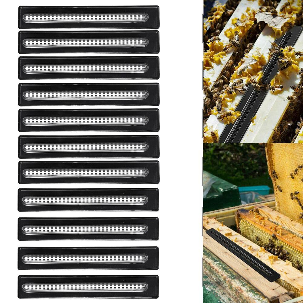 【ready Stocks】10pcs Beekeeping Hive Better Beetle Blaster Beetle Trap Without Poisons