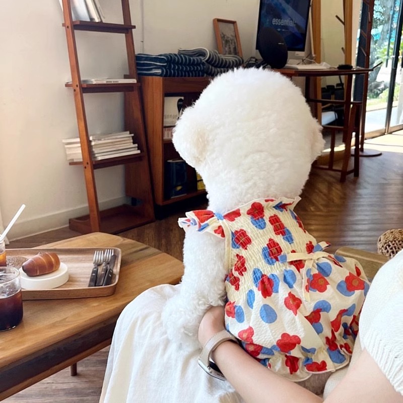 Robe d'été à fleurs pour chien, vêtements de princesse mignons pour chat et chien, Chihuahua Frnench bouledogue Bichon, Costume pour chien, jupe pour animaux de compagnie
