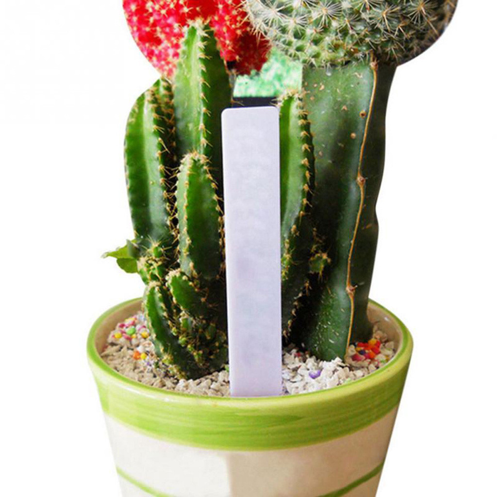 100 Pcs Plastic Plant Zaad Labels Pot Marker Kwekerij Stake Tags 10 Cm X 2 Cm Plant Bloemen Etiket tuin Decora Supply # L5