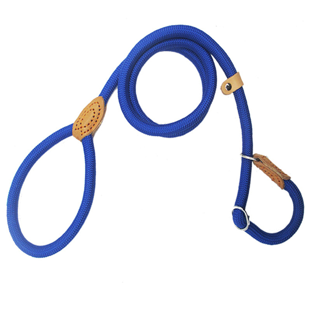 Laisse en Nylon pour chien 8/14mm, corde tressée, robuste, réglable, accessoire d'entraînement pour animaux de compagnie, pour petits et grands chiots: XS / Bleu