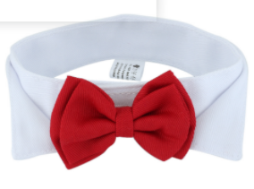 1PC Pet Puppy Honden Verstelbare Vlinderdas Kraag Stropdas Strik Bowtie Bruiloft Decoratie Accessoires Nieuw: green