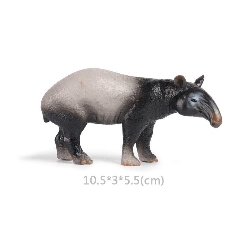 Wild Jungle Zoo Animal Model Malayan Tapir Anteater Koala Pangolin PVC Collection Model Action Figure Kid Educational Toys