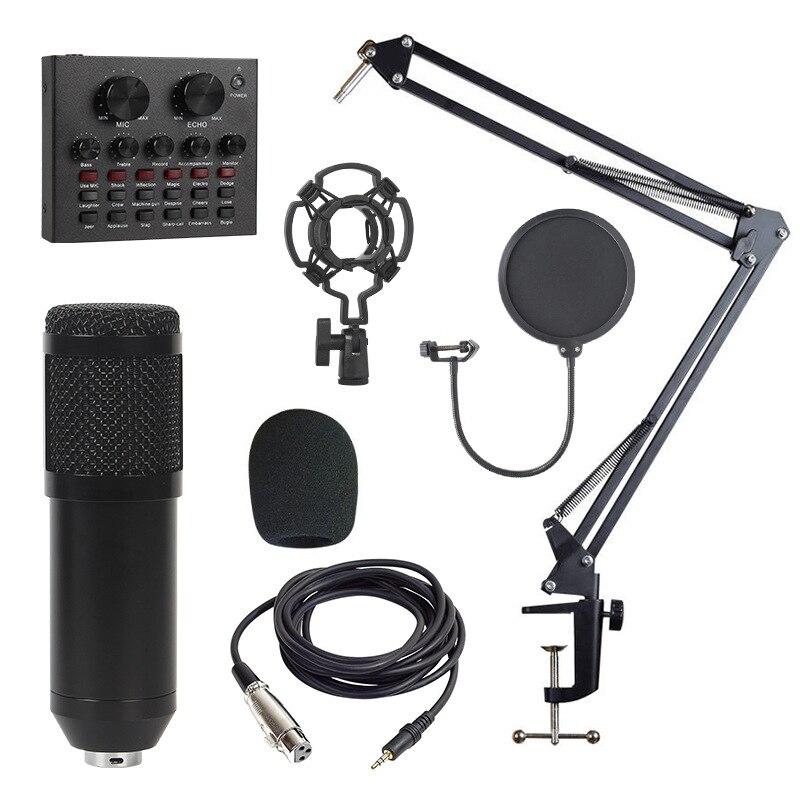 BM 800 karaoke microphone BM800 studio condenser mikrofon mic bm-800 For KTV Radio Braodcasting Singing Recording computer: Black Package 2 V8