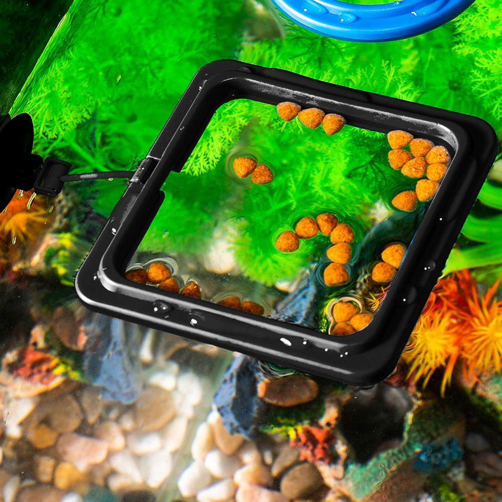 2 stk opdrift fisk foder fodring ring akvarie akvarium lille type tropiske fisk foder foder cirkel akvarie tilbehør
