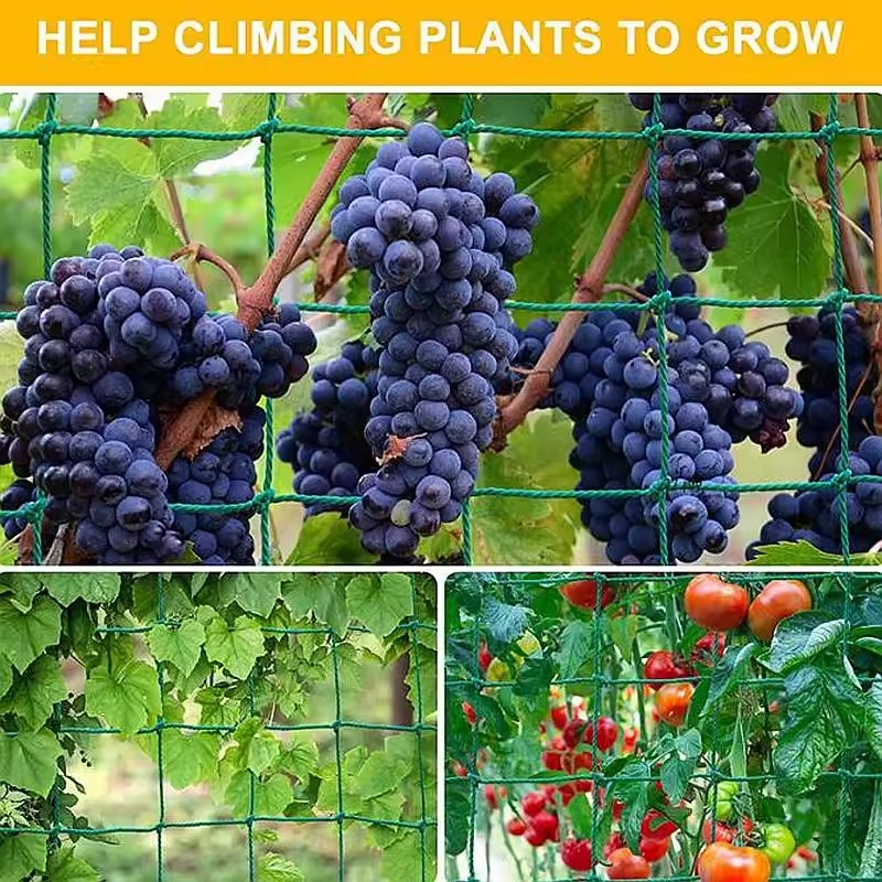 Nylon Garden Netting Plants Support Net Morning Glory for Vegetable Flower Holder Cucumber Trellis 18 Strand Multiple Size