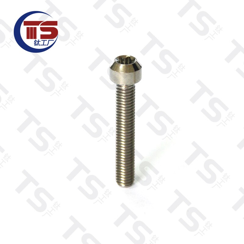 TS Titanium Alloy TORX Head Bolts Screw M5X65mm Allen Key Hex Screw for Bicycle Motorcycle Fastener（1pc）: Silver
