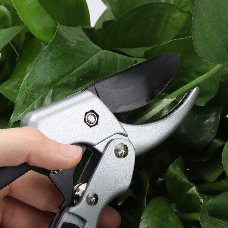 Ratchet Plant trim Horticulture Hand Shear Orchard Pruning Pruner Cut Secateur Shrub Garden Scissor Pruning Tools