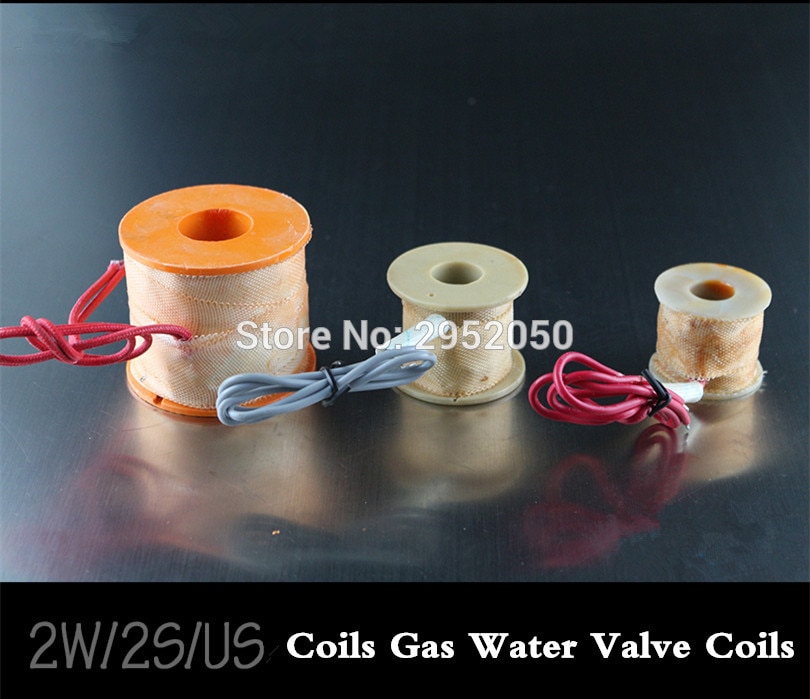 2 Stuks Elektrische Coils Gas Water Valve Coils Solenoid Coil Kit Vervangt Voor 2W200-20 DC12V,DC24V,AC110V Pr AC220V