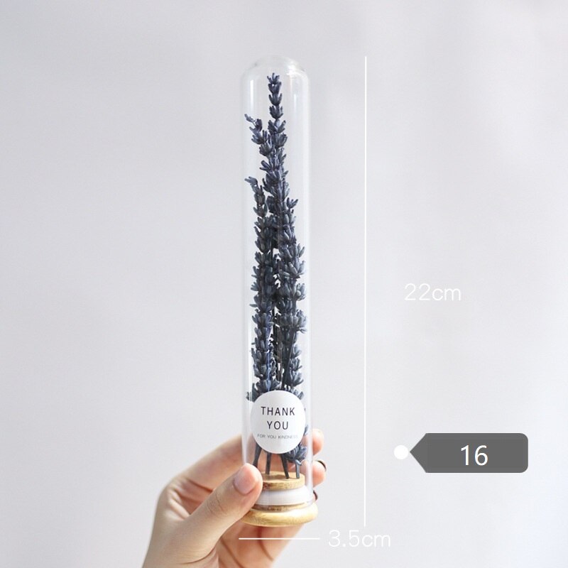 Dried Flower Glass Test Tube Decorations Family Living Room Study Specimens Ornaments: 16