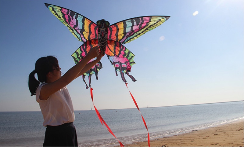 Tabby papillon cerf-volant coloré animal cerf-volant ligne unique longue queue larme sports de plein air jouet volant enfants avec ligne de cerf-volant
