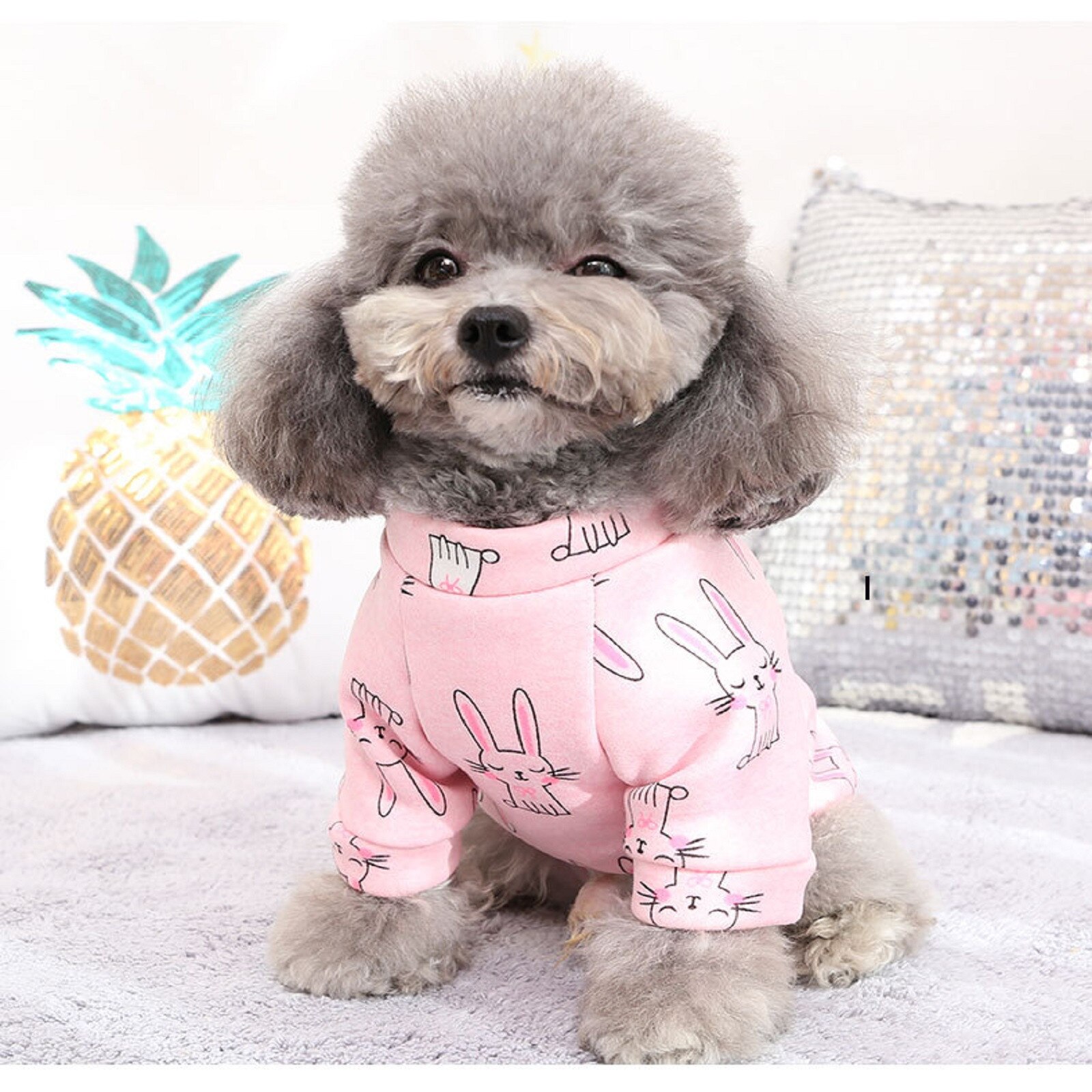 autumn and winter Dog Vests sweater cute cartoon style cat cat clothes puppy dog two-legged pet clothing