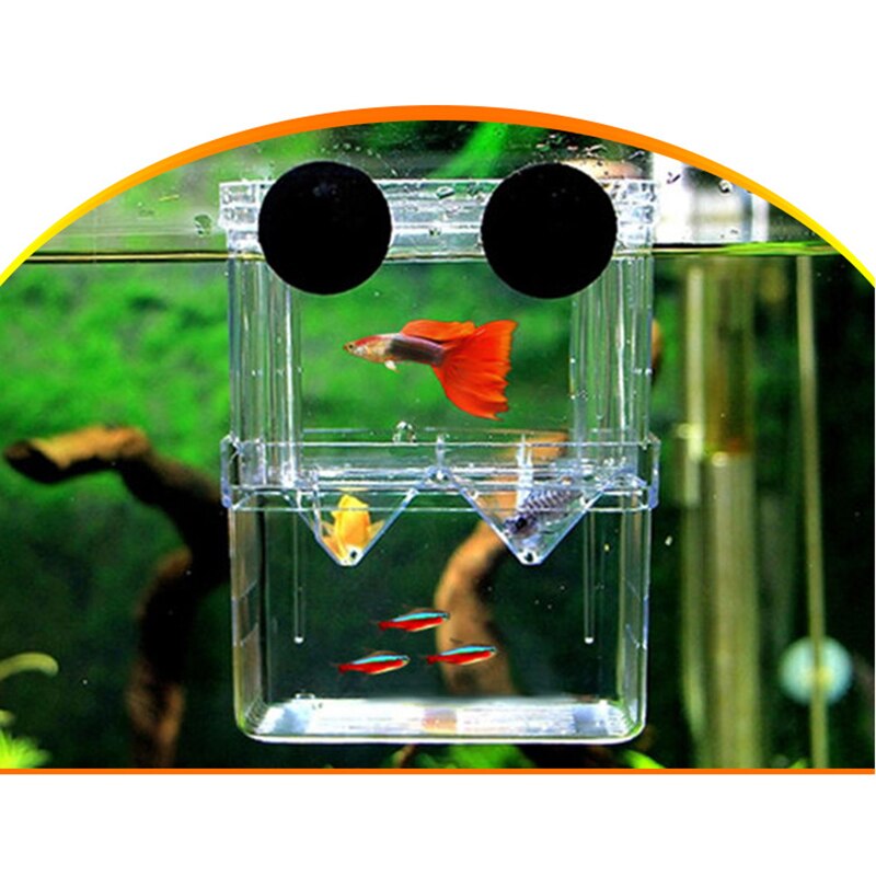 Double-layer aquarium isolation box acrylic malachite hatching box ornamental fish fighting fish breeding box