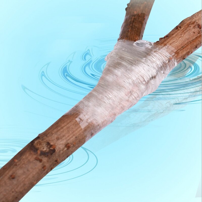 Lixf 10Pcs Adsorptie Film Geënt Membraan Geënt Membranen Vaste Crop Tool Plastic Film Plant Tuin Accessoires