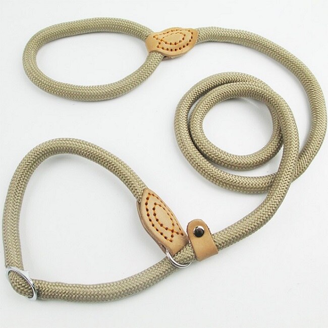 Slip Lead Hondenriem Walking Slip Hond Lood Nylon Slip Leash Grote Hond Bergbeklimmen Touw Tractie Voor Kleine Medium grote Honden: Beige / 1.6cmX150cm